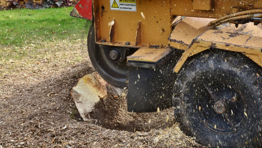 Stump Grinding Stump Grinding
